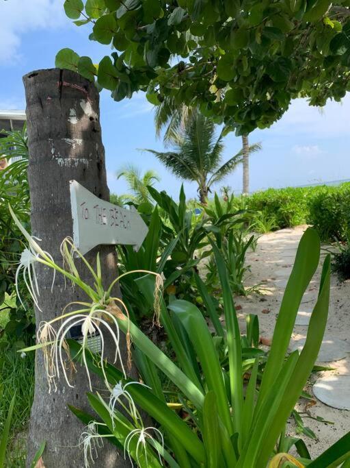 Beach'Nbarefoot Nassau Buitenkant foto